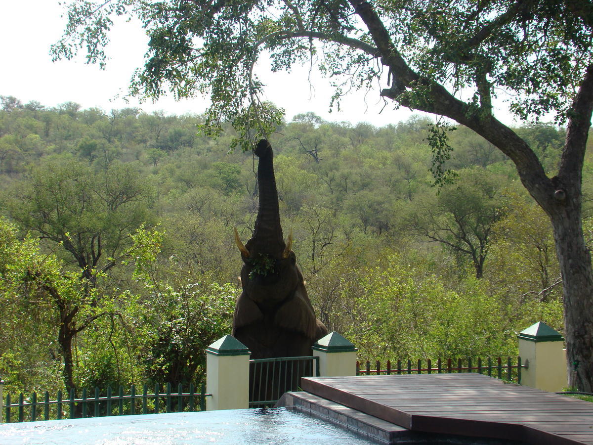 Grietjie Game Reserve Muweti Bush Lodge المظهر الخارجي الصورة